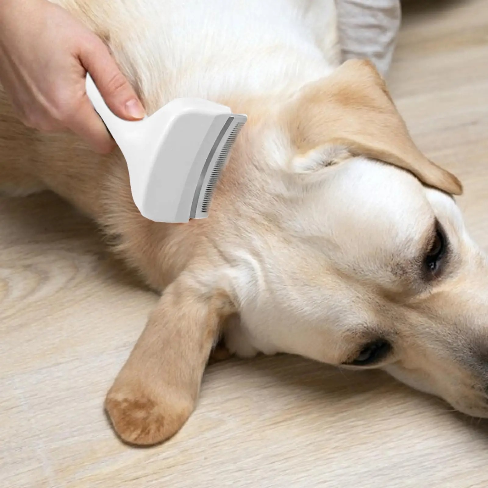 Щетка-пуходерка для собак, инс – обзор и цена Undercoat Rake Dematting Tool Dog Shedding