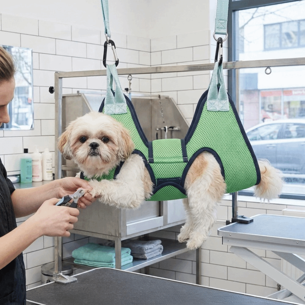 Регулируемый гамак для груминг – обзор и цена Pet Grooming Hammock Sling Restraint